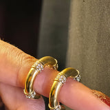 Zarcon Gold Plated Earrings